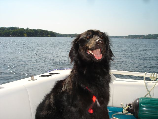 Tilley In Boat